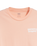 The Levi's® Mens Classic Graphic T-Shirt in Pale Peach