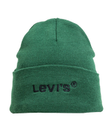 The Levi's® Mens Wordmark Beanie in Regular Green