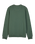 The Fox Mens Level Up Fleece Sweatshirt in Hunter Green