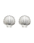 The Pura Vida Delicate Shell Stud Earrings in Silver