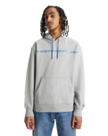 The Levi's® Mens Relaxed Graphic Hoodie in Steel Grey