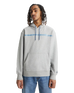 The Levi's® Mens Relaxed Graphic Hoodie in Steel Grey