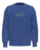 The Levi's® Mens Relaxed Graphic Sweatshirt in Surf Blues