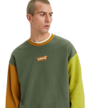 The Levi's® Mens Relaxed Graphic Colourblock Sweatshirt in Thyme