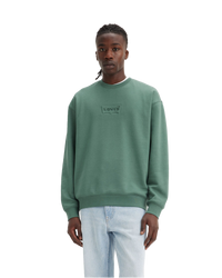 The Levi's® Mens Relaxed Graphic Sweatshirt in Dark Forest