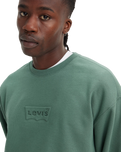 The Levi's® Mens Relaxed Graphic Sweatshirt in Dark Forest