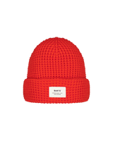 The Barts Mens Shelbi Beanie in Orange