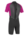 The O'Neill Girls Reactor-2 2mm Back Zip Shorty Wetsuit in Black & Berry