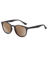 The Dirty Dog Racoon Polarised Sunglasses in Tortoise & Brown