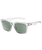 Goat Polarised Sunglasses in Crystal Grey & Green