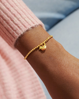 The Joma Jewellery A Litte 'Robins Appear When Loved Ones Are Near' Bracelet in Gold Plating