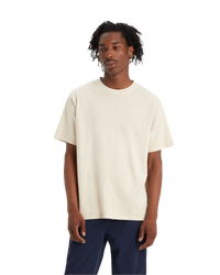 The Levi's® Mens Red Tab Vintage Stripe T-Shirt in Fog