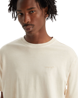 The Levi's® Mens Red Tab Vintage Stripe T-Shirt in Fog