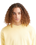 The Levi's® Mens Red Tab Sweatshirt in Yellow