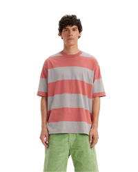 The Levi's® Mens Skateboarding Graphic Boxy T-Shirt in Everyday Now Mauve Grey