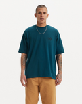 The Levi's® Mens Skate Graphic Box T-Shirt in Reflecting Pond