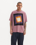 The Levi's® Mens Skate Graphic Box T-Shirt in Cube Purple & Black