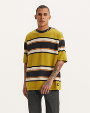 The Levi's® Mens Skate Graphic Box T-Shirt in Green Sulphur Stripe & Brown