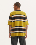 The Levi's® Mens Skate Graphic Box T-Shirt in Green Sulphur Stripe & Brown