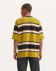 The Levi's® Mens Skate Graphic Box T-Shirt in Green Sulphur Stripe & Brown