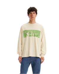 The Levi's® Mens Skate Graphic Boxy T-Shirt in Roemello Hands Green