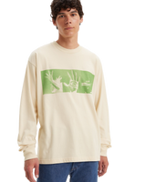 The Levi's® Mens Skate Graphic Boxy T-Shirt in Roemello Hands Green