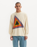 The Levi's® Mens Skate Graphic Box T-Shirt in Prism Cream & Grey