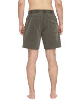 The Volcom Mens Center Swimshorts in Wren