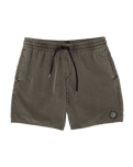 The Volcom Mens Center Swimshorts in Wren