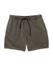 The Volcom Mens Center Swimshorts in Wren