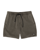 The Volcom Mens Center Swimshorts in Wren