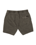 The Volcom Mens Center Swimshorts in Wren