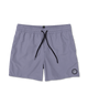 The Volcom Mens Lido Solid Swimshorts in Violet Dust