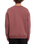 The Volcom Mens Egle Zvirblyte Sweatshirt in Rose Brown