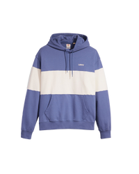 The Levi's® Mens Blocked Hoodie in Coastal Fjord