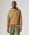 The Levi's® Mens The Authentic Hoodie in Chicory Coffee