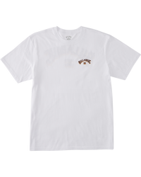 The Billabong Boys Boys Arch Fill T-Shirt in White