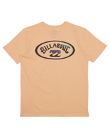 The Billabong Boys Boys Crossboards T-Shirt in Sherbet