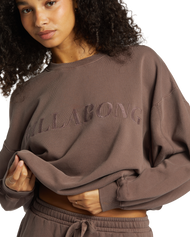 The Billabong Womens Palmin Kendal Sweatshirt in Kona