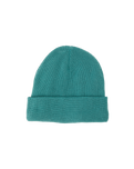 The Billabong Womens Roamer 3 Beanie in Pine