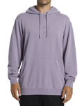 The Billabong Mens Wave Washed Hoodie in Purple Ash