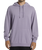 The Billabong Mens Wave Washed Hoodie in Purple Ash