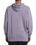 The Billabong Mens Wave Washed Hoodie in Purple Ash