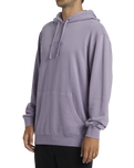 The Billabong Mens Wave Washed Hoodie in Purple Ash