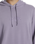 The Billabong Mens Wave Washed Hoodie in Purple Ash