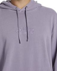 The Billabong Mens Wave Washed Hoodie in Purple Ash