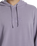 The Billabong Mens Wave Washed Hoodie in Purple Ash