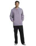 The Billabong Mens Wave Washed Hoodie in Purple Ash