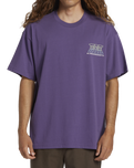 The Billabong Mens Worldwide OG T-Shirt in Deep Plum