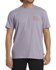 The Billabong Mens Crayon Wave T-Shirt in Purple Ash